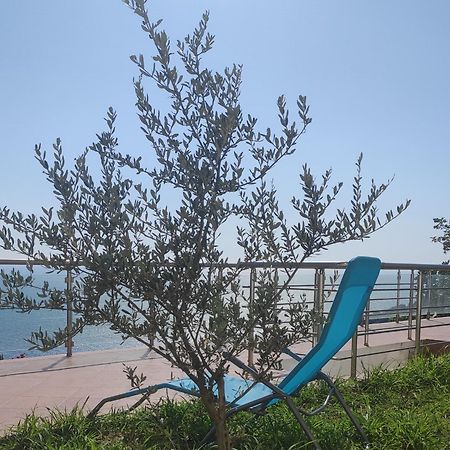 Apartment Oliva Ulcinj Bagian luar foto